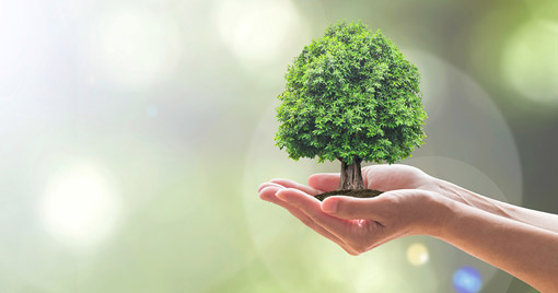 marlo_our_values_sustainable_energy marlo our values sustainable energy