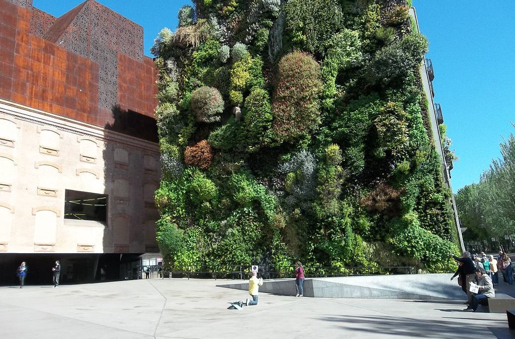 green walls: more than just a garden on the wall