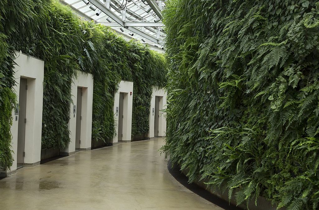 Green vertical interior design of Emquartier shopping mall dining