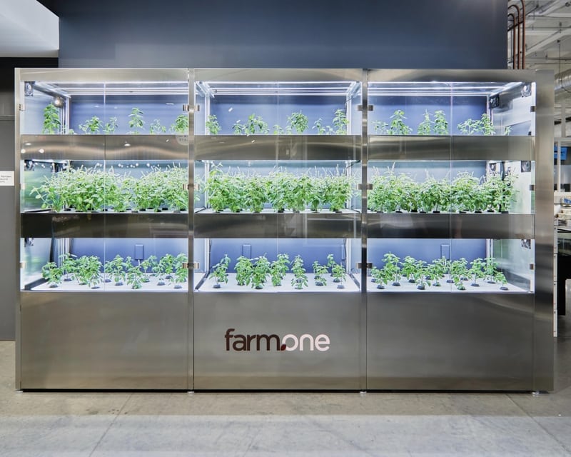 spotlight: farm.one brings the farm to whole foods