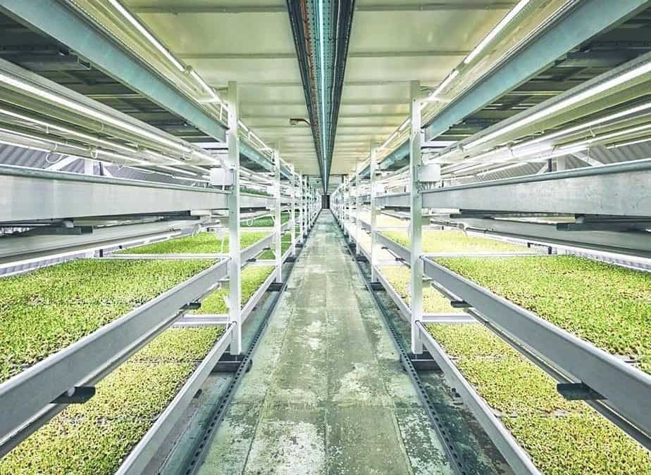 spotlight: hydroponic farming goes underground  in london