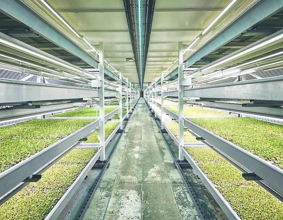 free download hydroponic farming at home free download hydroponic farming at home