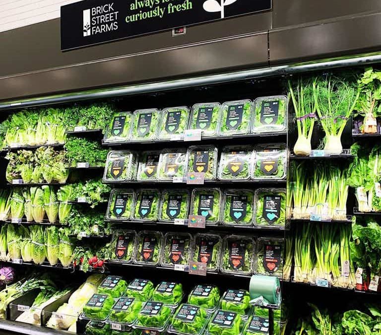 hydroponic farm greenwise publix brick street