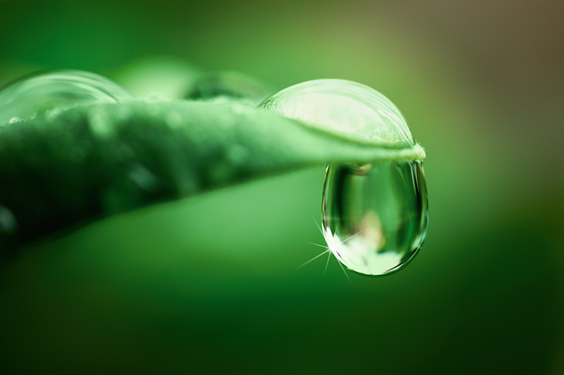 The,Spectacle,Of,A,Drop,Falling,From,A,Leaf,In marlo clean beauty that truly delivers