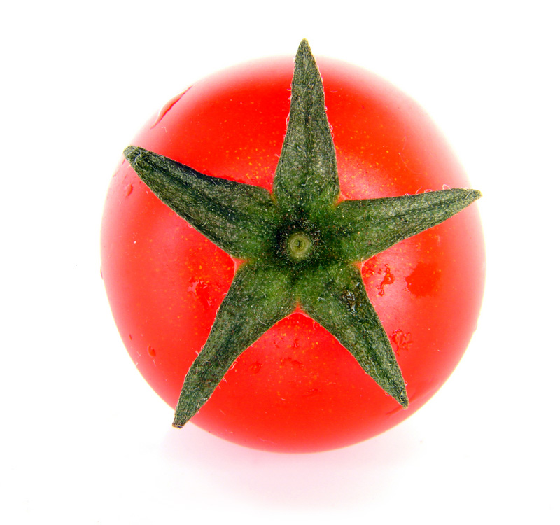 marlo star ingredient