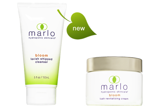 Home_Hero_Cleanser_Cream_Jar_Depth_Shape_2021 marlo bloom cleanser and bloom cream