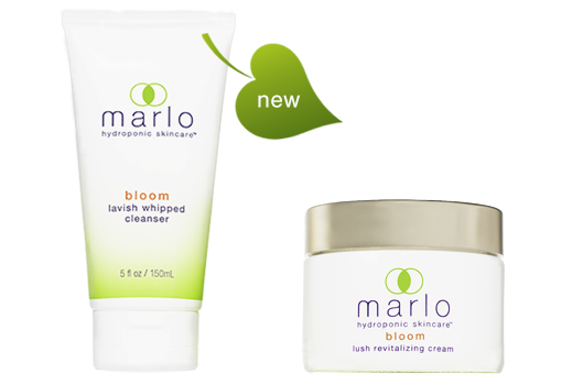 Home_Hero_Cleanser_Cream_Jar_Exp_Depth_2021 marlo bloom cleanser and bloom cream