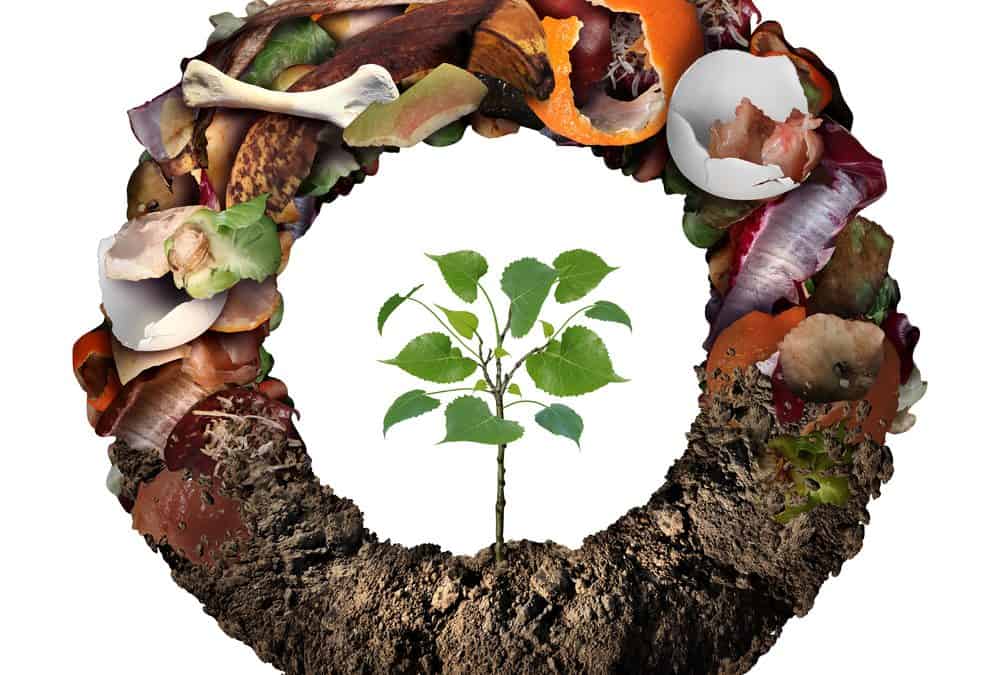 what is composting and why should i care?