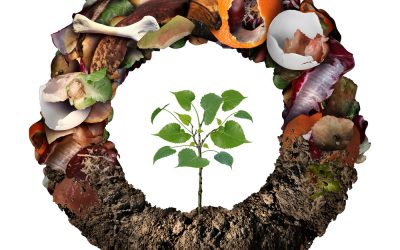 what is composting and why should i care?