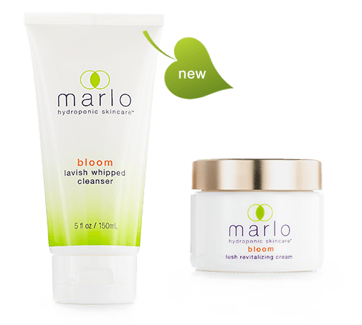 marlo bloom cleanser and bloom cream