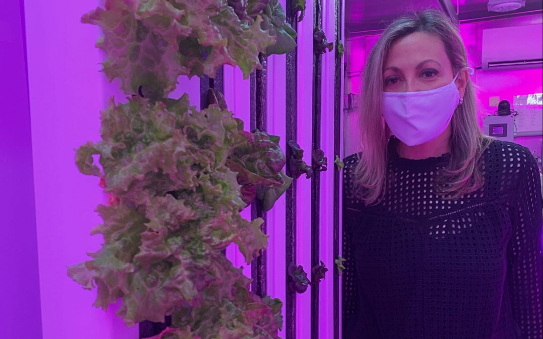 marlo co-founder renee ordino soto visits nj hydroponic farm