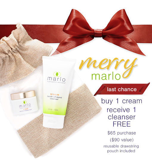 merry marlo holiday bundle, buy 1 cream, get 1 cleanser free, drawstring reusable bag included