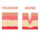the importance of collagen for skin care and how to preserve it