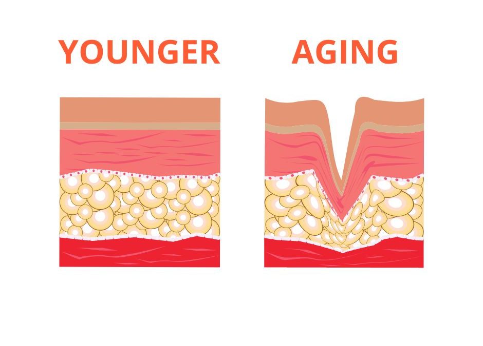 collagen skin care anti aging beauty anti wrinkle skin damage
