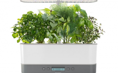 home hydroponics 101