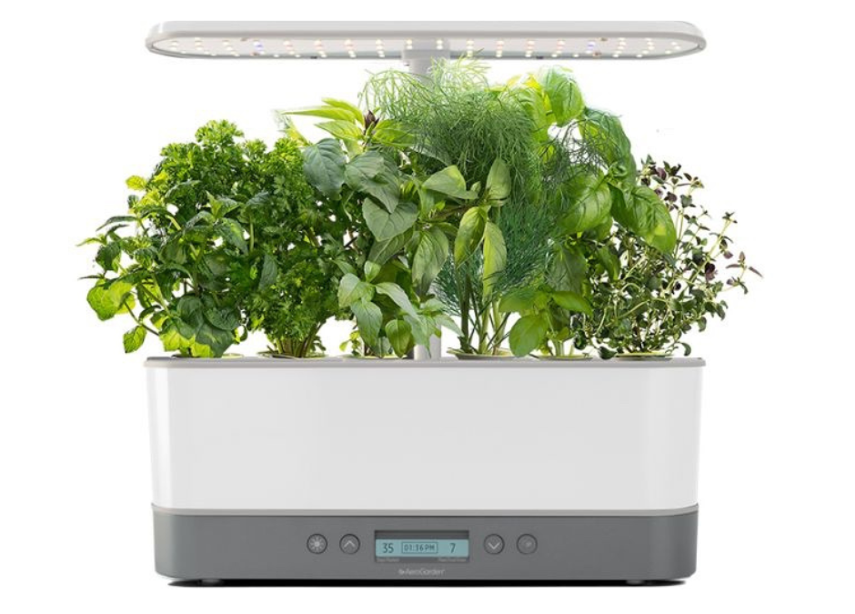 home hydroponics garden aerogarden fresh produce