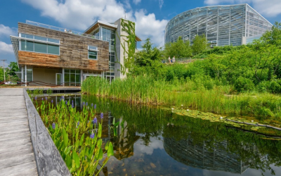 spotlight: phipps’ superstar green building