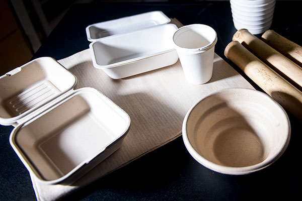 compostable biodegradable food container tableware northeastern university bamboo sugarcane hongli julie zhu bagasse