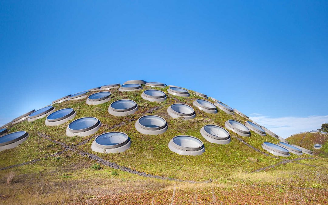 california academy of sciences san francisco green living roof sustainability green design architecture renzo plano adaptive heating cooling carbon emissions footprint energy conservationo solar