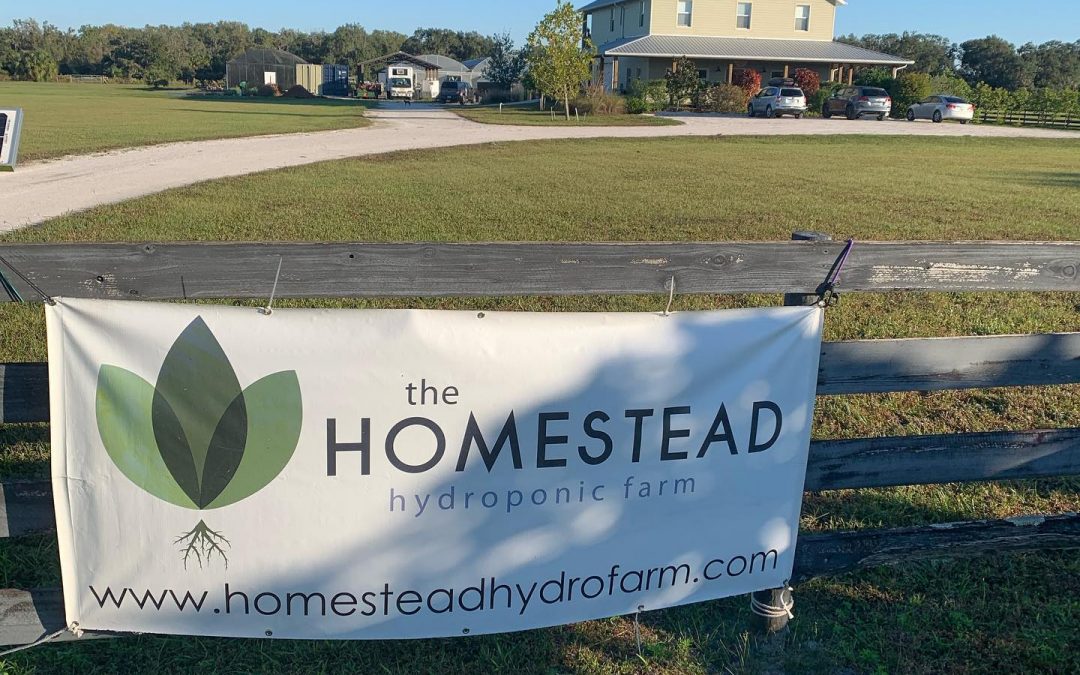 homestead hydroponic farm sarasota florida fresh produce pesticide-free integrated pest management myakka state park hydroponics farmers market greenhouse sarah whannel mike baker ally noel