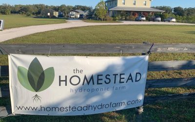 spotlight: homestead hydroponic farm is a family affair