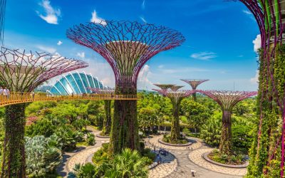 spotlight: singapore’s sustainable city in a garden