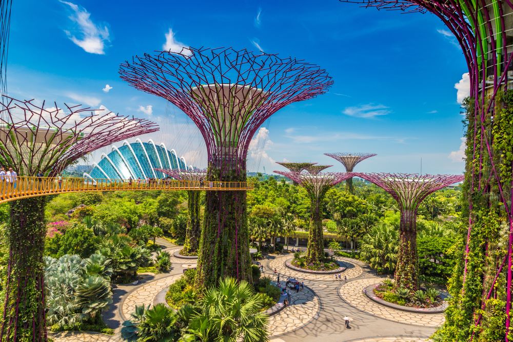 gardens by the bay singapore sustainability green design architecture solar power environment biophilia vertical gardens carbon footprint renewable energy energy conservation cloud forest flower dome vertical kingfisher wetlands efficiency biodiversity