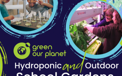 spotlight: green our planet teaches kids about the magic of hydroponics